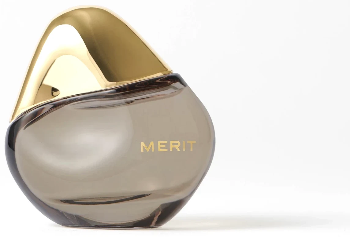 Merit Retrospect
